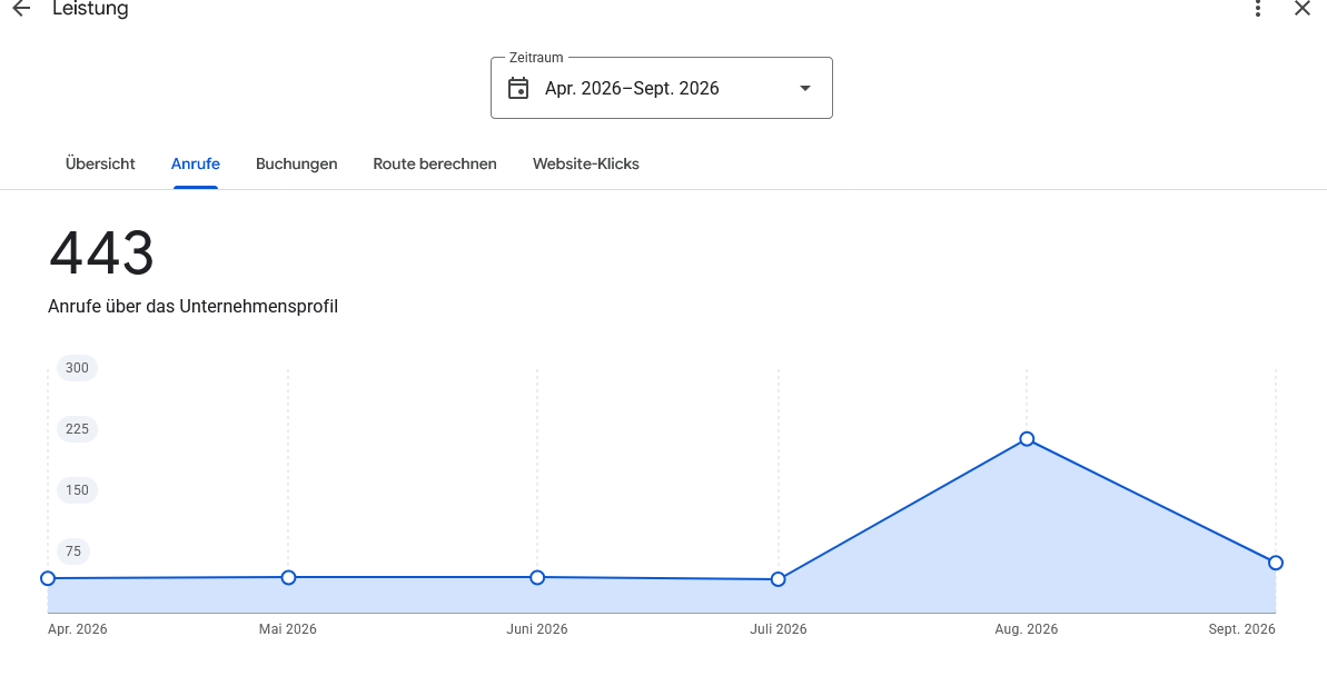 Screenshot Container Dienst München Google My Business Profil 6 Mal mehr Anrufe innerhalb eines Monats von 31 Anrufe auf 213